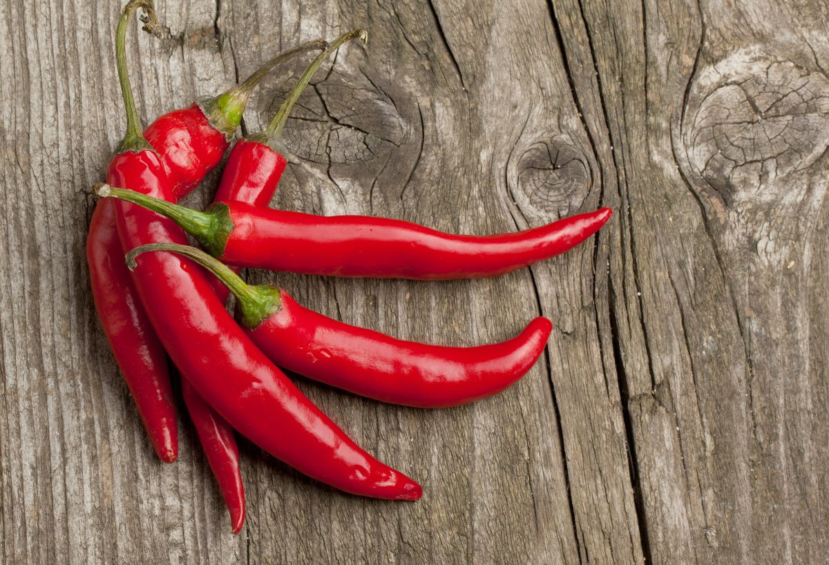 Red hot chili peppers on a wooden board.