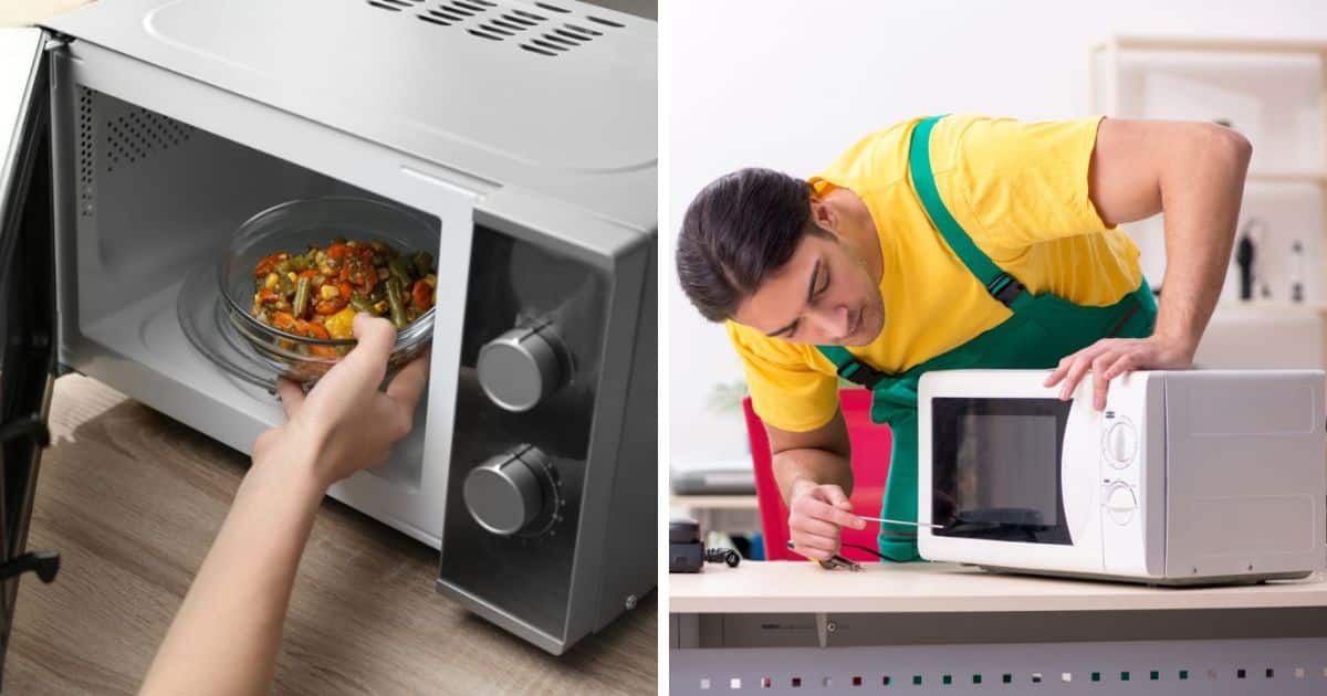 7 Reasons Why Your Microwave Plate Won’t Turn Can You Microwave This?