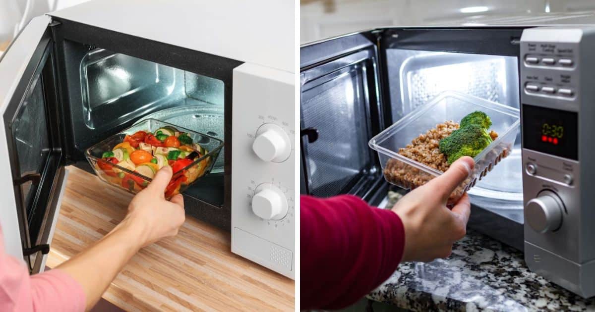 How To Microwave Leftovers (7 Rules You Should Know) Can You